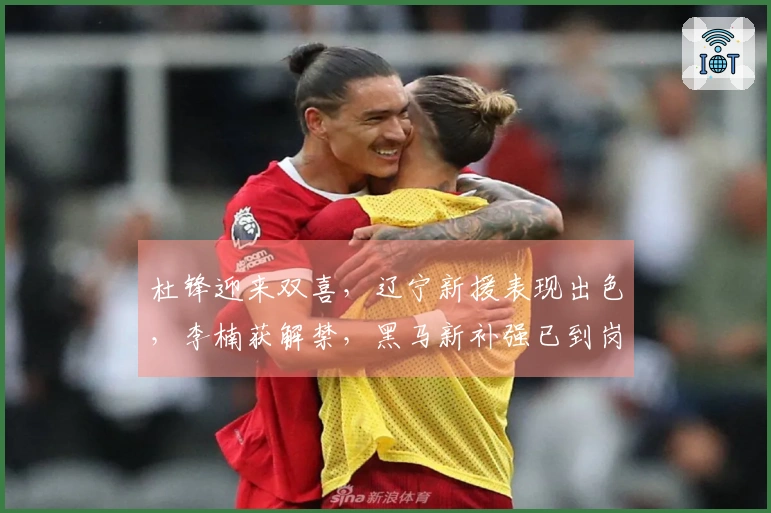 杜锋迎来双喜，辽宁新援表现出色，李楠获解禁，黑马新补强已到岗