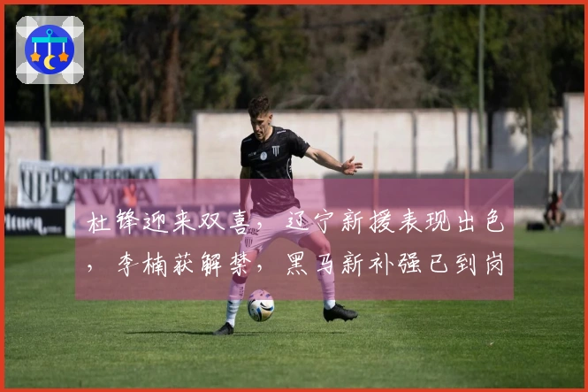 杜锋迎来双喜，辽宁新援表现出色，李楠获解禁，黑马新补强已到岗